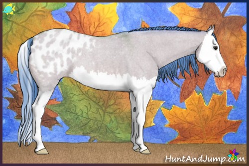 Horse Color:Watercolor Bay Roan Dun Splash Varnish