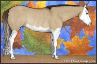 Horse Color:Liver Red Dun Splash Rabicano