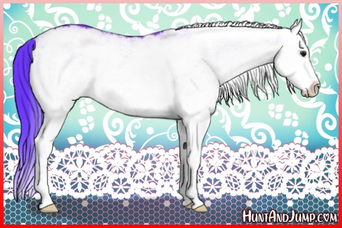 Horse Color:Watercolor White Spotted Bay Splash Rabicano 