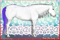 Horse Color:Watercolor White Spotted Bay Splash Rabicano 