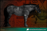 Horse Color:ERROR: UNKNOWN ANOMALY