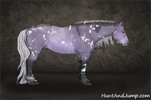 Horse Color:White Spotted Silver Brown Chinchilla Dun Sabino