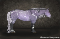 Horse Color:White Spotted Silver Brown Chinchilla Dun Sabino