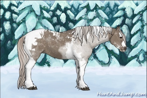 Horse Color:Silver Grullo Sabino Splash Tobiano