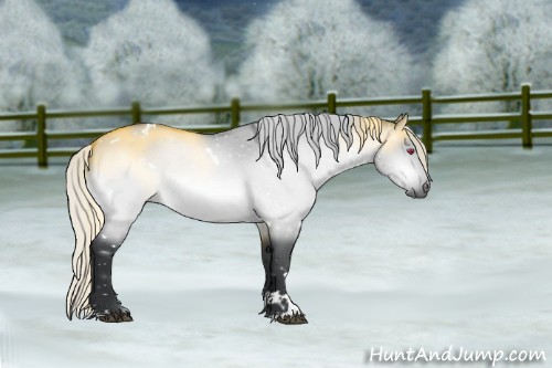 Horse Color:White Spotted Silver Brown Chinchilla Dun Sabino 