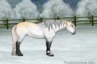 Horse Color:White Spotted Silver Brown Chinchilla Dun Sabino 