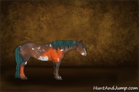 Horse Color:Painted White Spotted Liver Chestnut Frame Rabicano 
