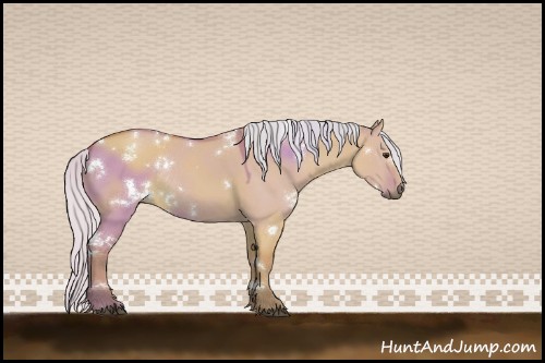 Horse Color:White Spotted Silver Buckskin Dun Rabicano 