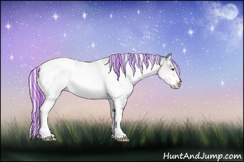 Horse Color:Painted Silver Bay Chinchilla Dun Sabino Splash Tobiano Rabicano 