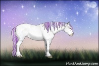 Horse Color:Painted Silver Bay Chinchilla Dun Sabino Splash Tobiano Rabicano