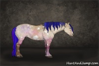 Horse Color:Painted White Spotted Liver Red Dun Frame Rabicano 