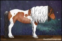 Horse Color:Brown Tobiano Rabicano