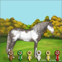 Horse Color:Silver Black Frame Appaloosa 