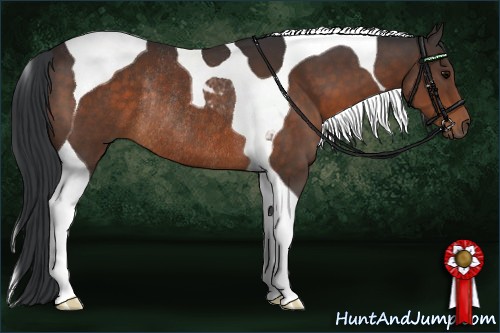 Horse Color:Brown Tobiano Rabicano 