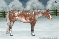 Horse Color:White Spotted Silver Brown Ice Splash 