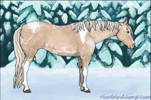 Horse Color:Silver Bay Ice Pearl Sabino Tobiano