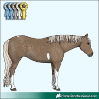 Horse Color:Unknown 