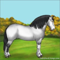 Horse Color:Brown Chinchilla Onyx 