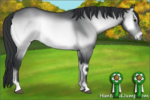 Horse Color:Brown Chinchilla Onyx