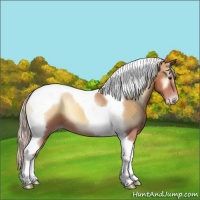 Horse Color:Silver Sable Champagne Onyx Tobiano