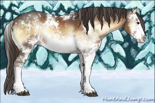 Horse Color:Liver Red Onyx Sabino Snowflake Varnish 