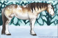 Horse Color:Liver Red Onyx Sabino Snowflake Varnish 