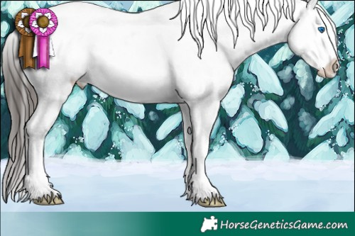 Horse Color:White Spotted Liver Red Onyx Sabino Splash Appaloosa 