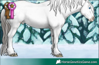 Horse Color:White Spotted Liver Red Onyx Sabino Splash Appaloosa 