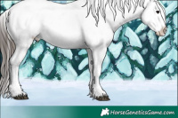 Horse Color:Brown Sabino Splash Snowflake Varnish
