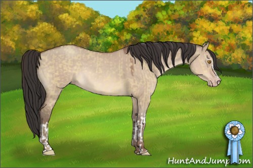 Horse Color:Sable Champagne Dun  and Sable Champagne Dun 
