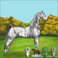 Horse Color:Gray Brown Roan Varnish Rabicano  and Brown Roan Varnish 