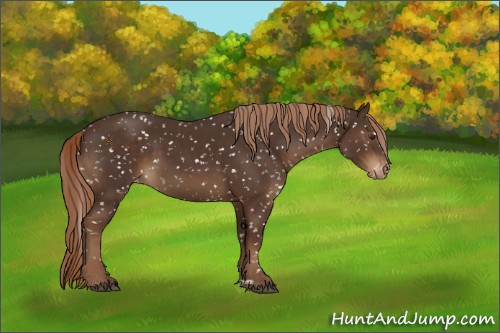 Horse Color:Liver Chestnut Snowflake Varnish 