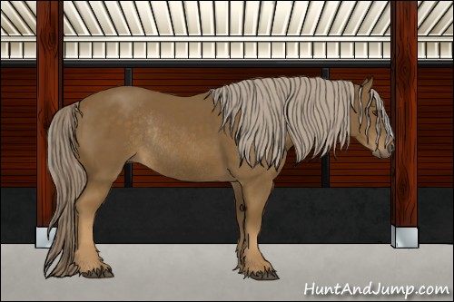Horse Color:Chocolate Palomino Rabicano
