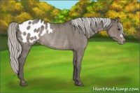 Horse Color:Silver Grullo Mushroom Blanket Rabicano Brindle 