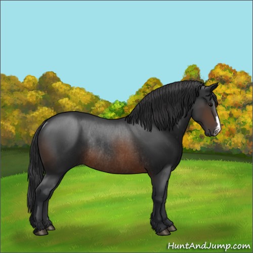 Horse Color:Brown Rabicano 