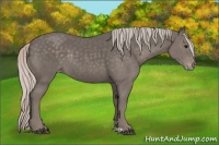 Horse Color:Silver Black Varnish Rabicano 
