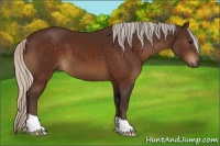 Horse Color:Silver Brown 
