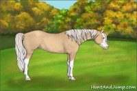 Horse Color:Silver Sable Champagne Splash 
