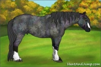 Horse Color:Midnight Smoky Blue Ice Roan 