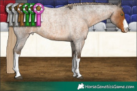 Horse Color:White Spotted Chocolate Palomino Roan Varnish 