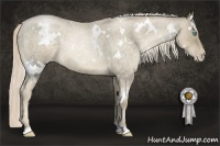 Horse Color:White Spotted Chocolate Palomino Roan Pearl 