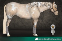 Horse Color:White Spotted Chocolate Palomino Roan Pearl Mushroom