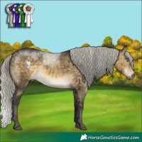 Horse Color:White Spotted Silver Buckskin Dun Mushroom Brindle