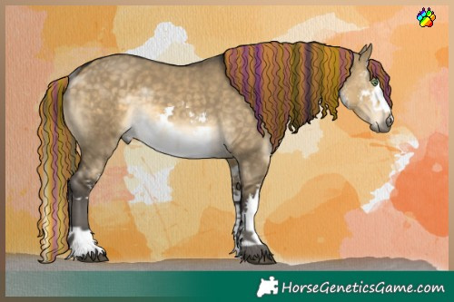 Horse Color:Painted White Spotted Buckskin Dun Splash 