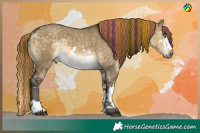 Horse Color:Painted White Spotted Buckskin Dun Splash 