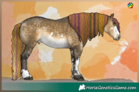 Horse Color:Painted White Spotted Buckskin Dun Splash 