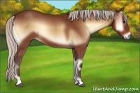 Horse Color:Silver Bay Onyx 