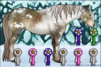 Horse Color:White Spotted Chocolate Palomino Sabino 