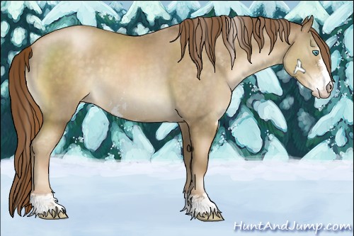 Horse Color:Chocolate Smoky Black Pearl Sabino