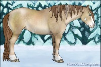 Horse Color:Chocolate Smoky Black Pearl Sabino